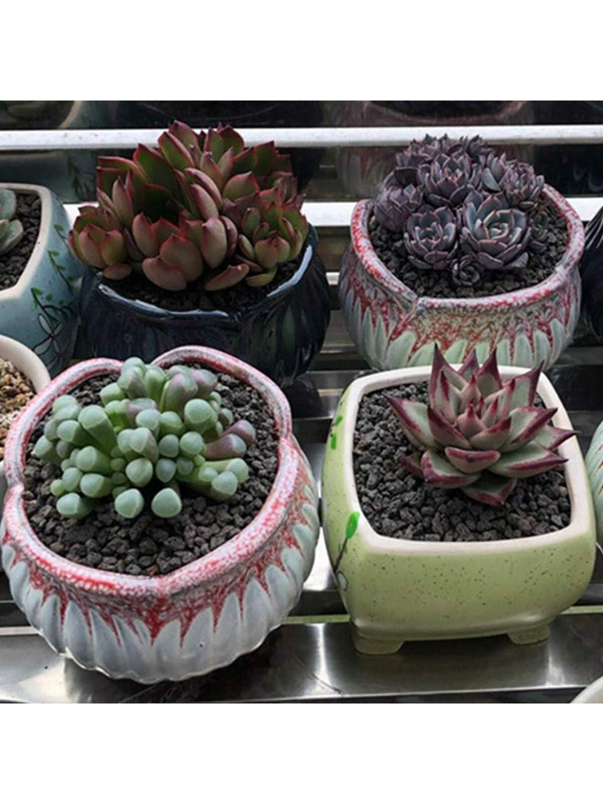 Schwarzer Gartenbau-Lavesteins – Sphagnum Moss Bag Bewertung und Preis