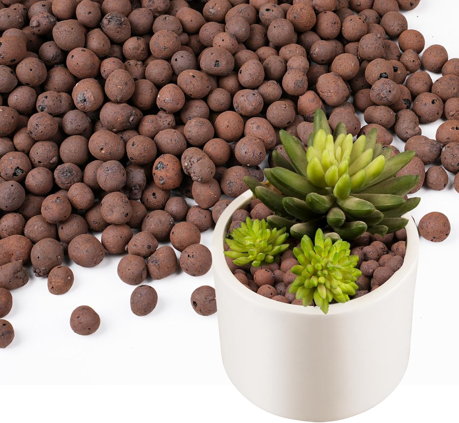 100/200G Tonkugeln für Pflanze – Sphagnum Moss Bag Bewertung und Preis