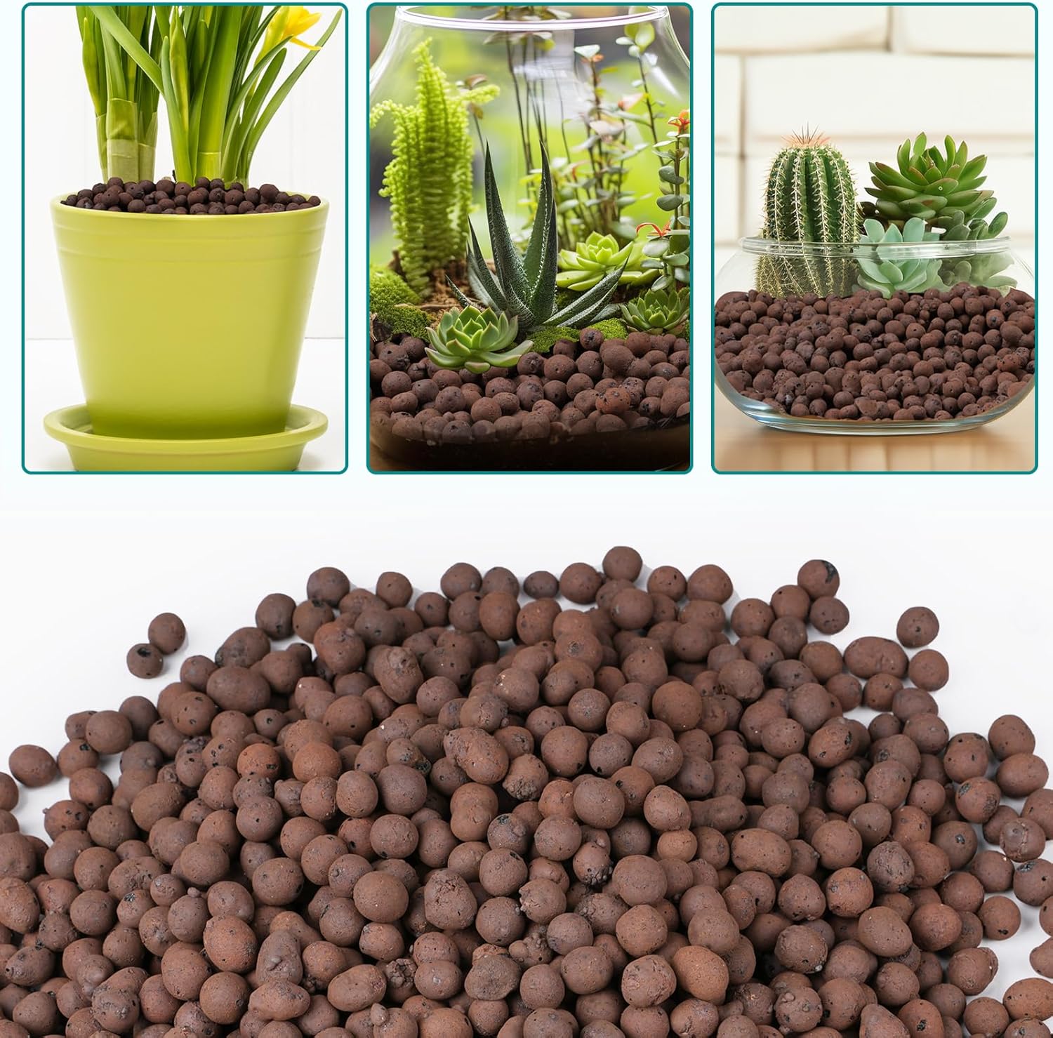 100/200G Tonkugeln für Pflanze – Sphagnum Moss Bag Bewertung und Preis