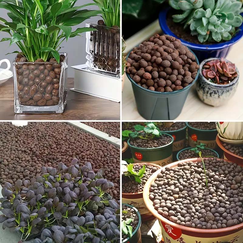 100/200G Tonkugeln für Pflanze – Sphagnum Moss Bag Bewertung und Preis