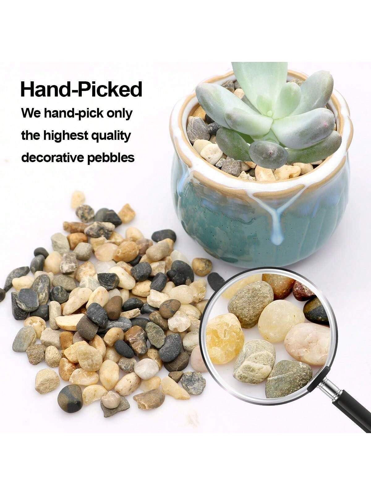 River Rocks Stones, natürliche – Sphagnum Moss Bag Bewertung und Preis